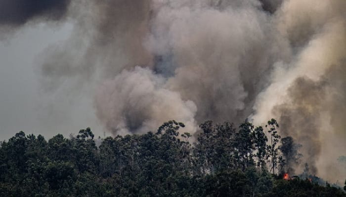 BMKG Pantau 23 Titik Panas di Sumut, Ini Lokasinya