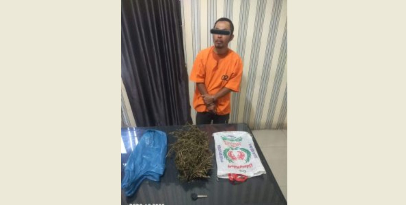 Terduga Pengedar Ganja Pucat saat Ditangkap di Desa Jaranguda